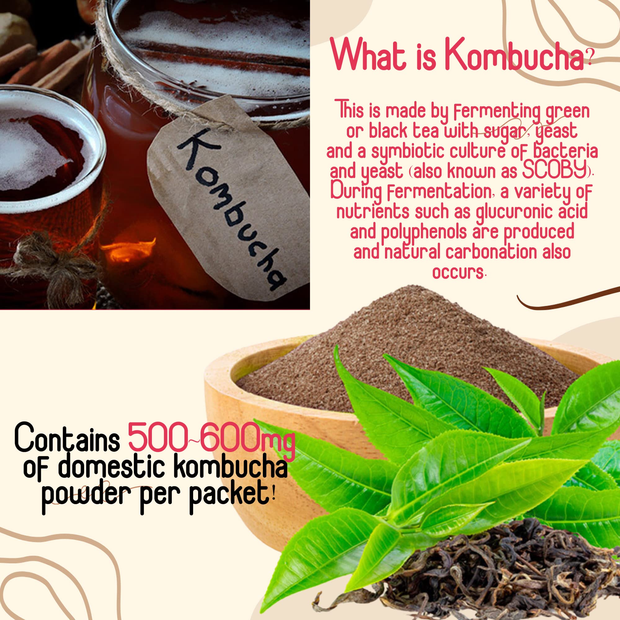 Organic Kombucha Powder Tea Pack - Korean Fermented Probiotic Drink, Zero Sugar, Prebiotics, Sparkling Healthy Beverage (Plum Flavor, 10 Sticks) - Perfect for Gut Health, Weight Loss & Detox