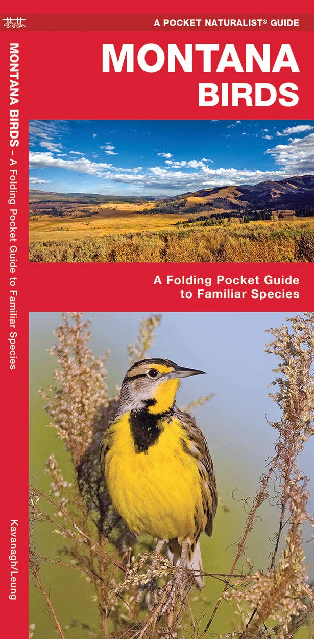 Montana Birds Pocket Guide - Folding Field Guide to Common North American Bird Species for Birdwatching & Nature Observation | Perfect for Hiking, Camping & Outdoor Adventures
