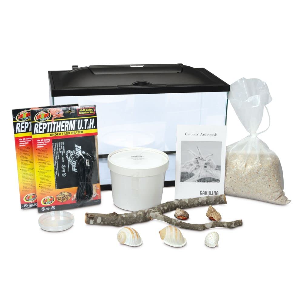 Land Hermit Crab Terrarium Habitat Kit with Free Voucher - Complete Starter Set for Pet Hermit Crabs | Perfect for Home, Classroom & Office Decor