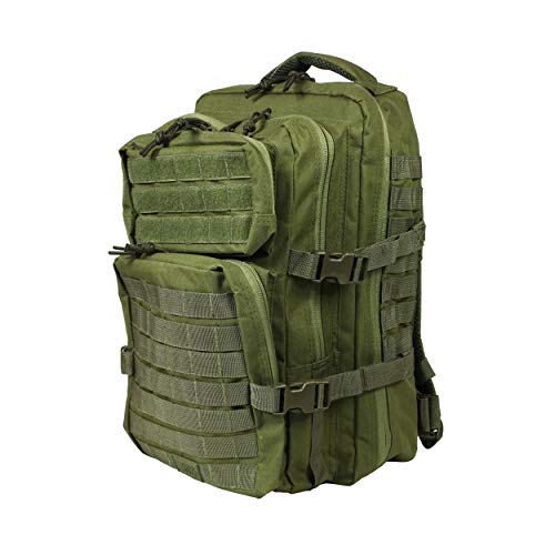 Crocodile Green