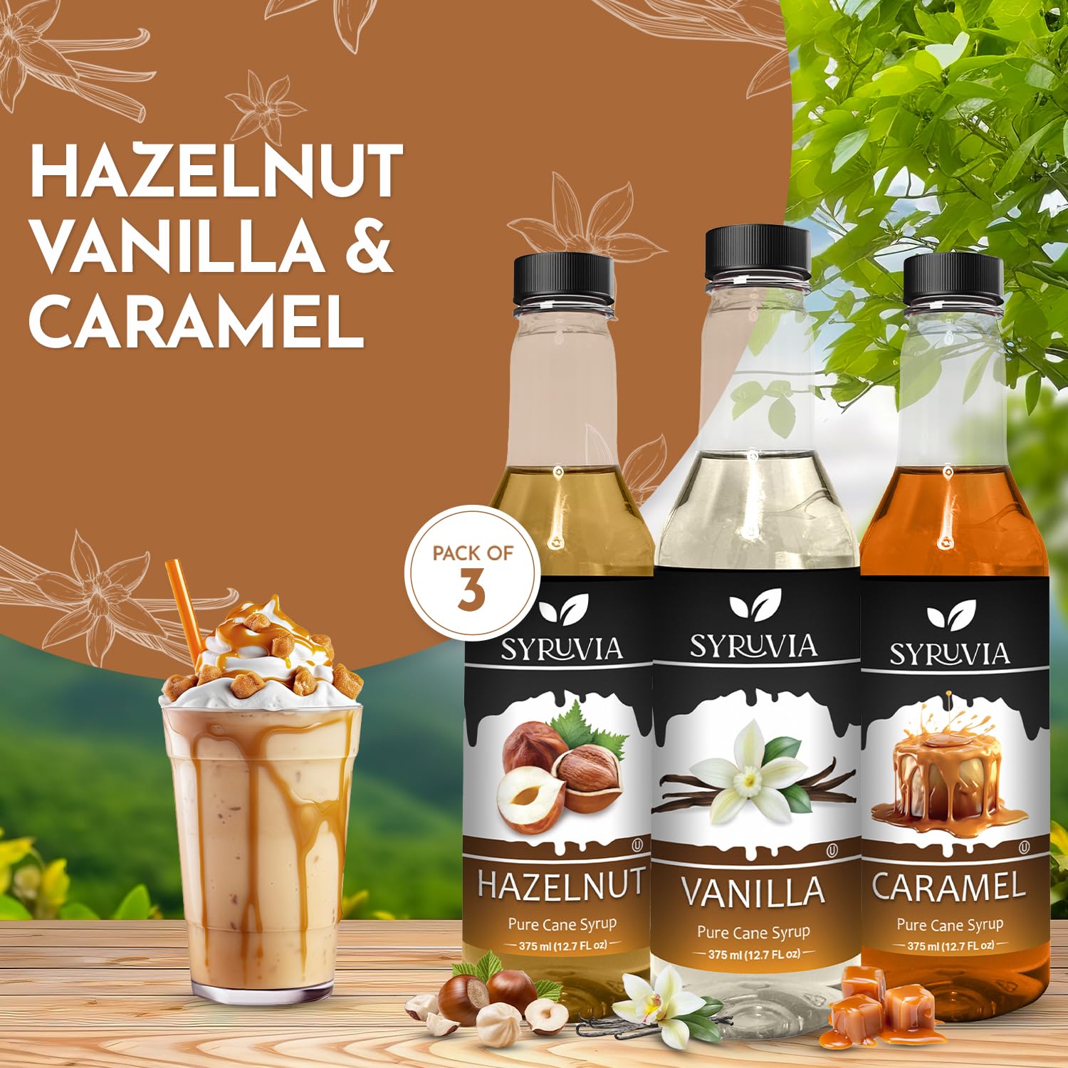 Syruvia Coffee Syrup Variety Pack - 12.7 fl oz Vanilla, Hazelnut & Caramel Flavors for Lattes, Iced Coffee & Cocktails | Barista-Grade Sweetener for Home & Cafe Use