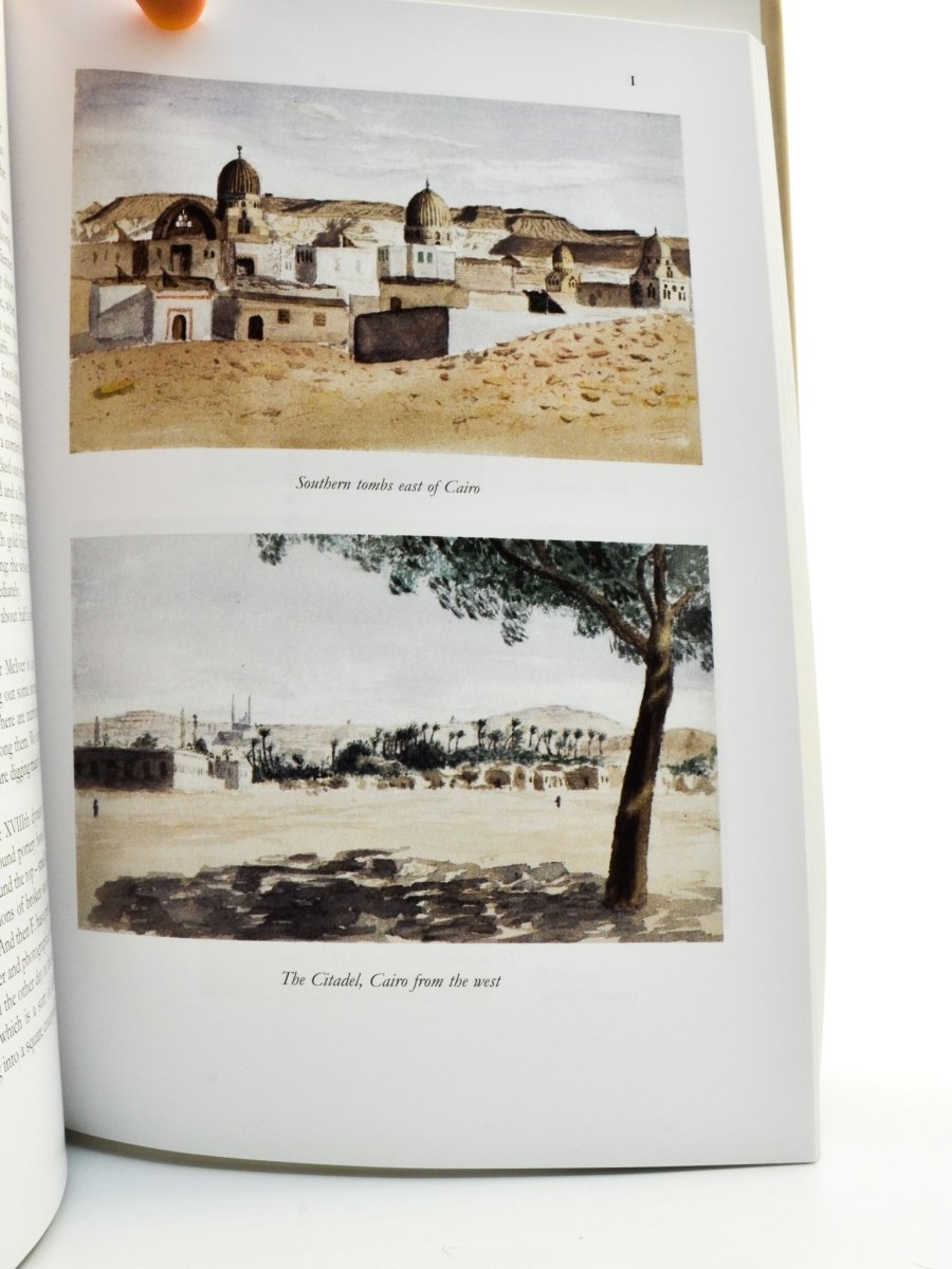 Letters from the Desert: The Correspondence of Flinders and Hilda Petrie by Margaret S. Drower - Historical Archaeology Book Collection for Scholars & History Enthusiasts