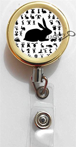 BlackKey Retractable ID Badge Holder with Lanyard & Clip for Work Security