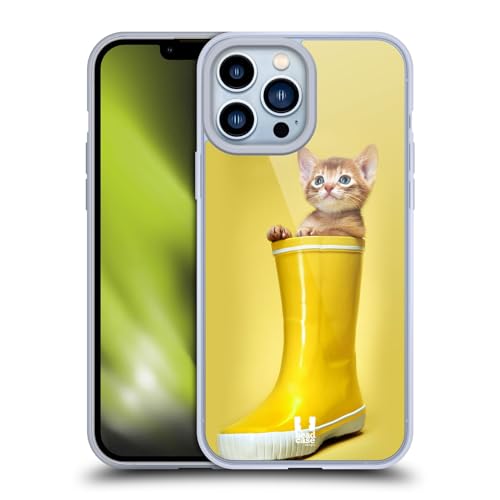 Abyssinian Kitty In A Boot