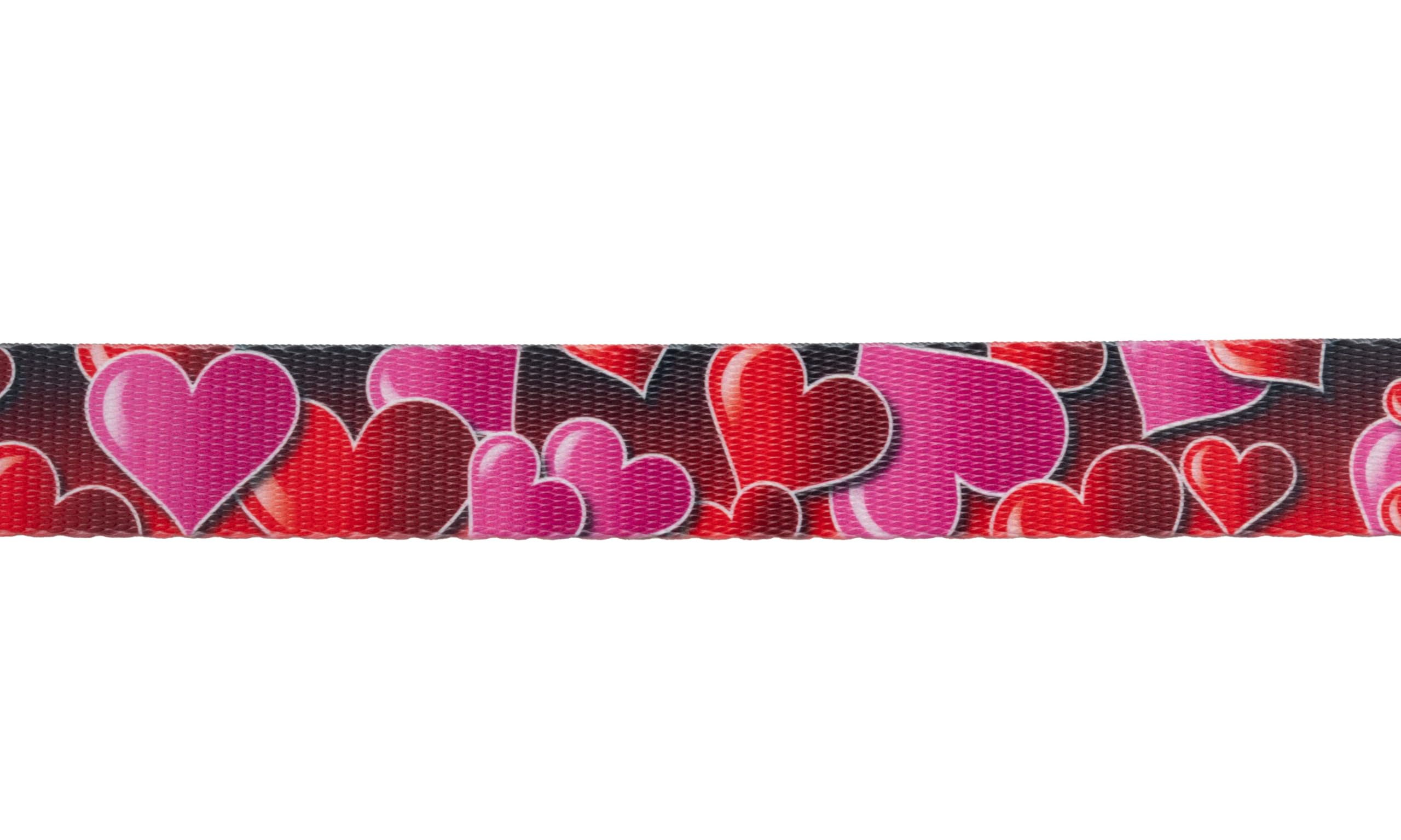 Romantic Hearts Polyester Webbing by Country Brook Design - Perfect for DIY Crafts, Wedding Decorations, and Gift Wrapping Accessories