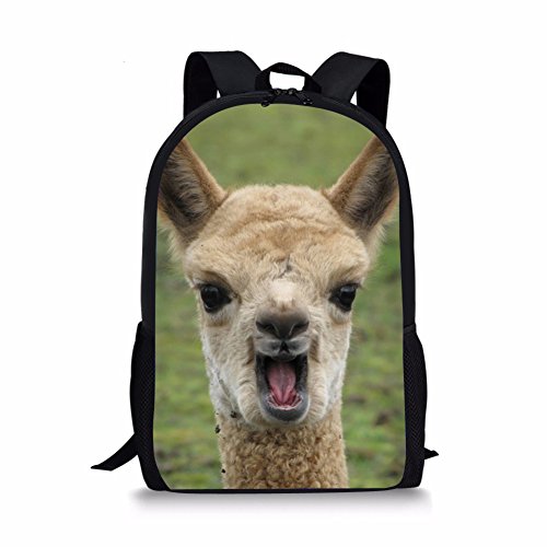 Llama