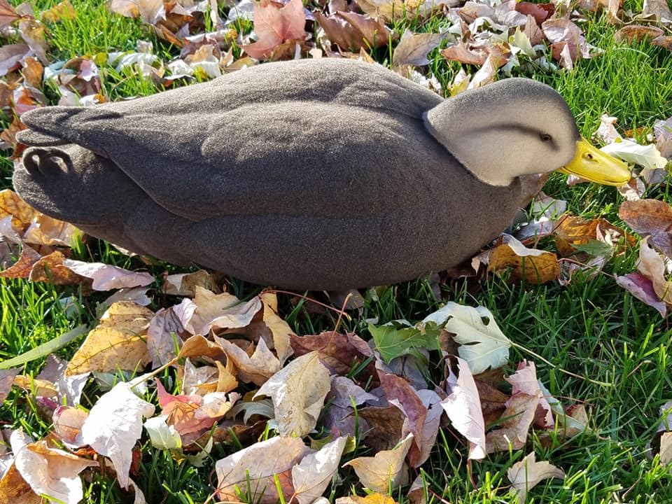 Premium Black Duck Full Body Flocking Kit for Lifelike Hunting Decoys – Perfect for Waterfowl Hunting & Outdoor Enthusiasts