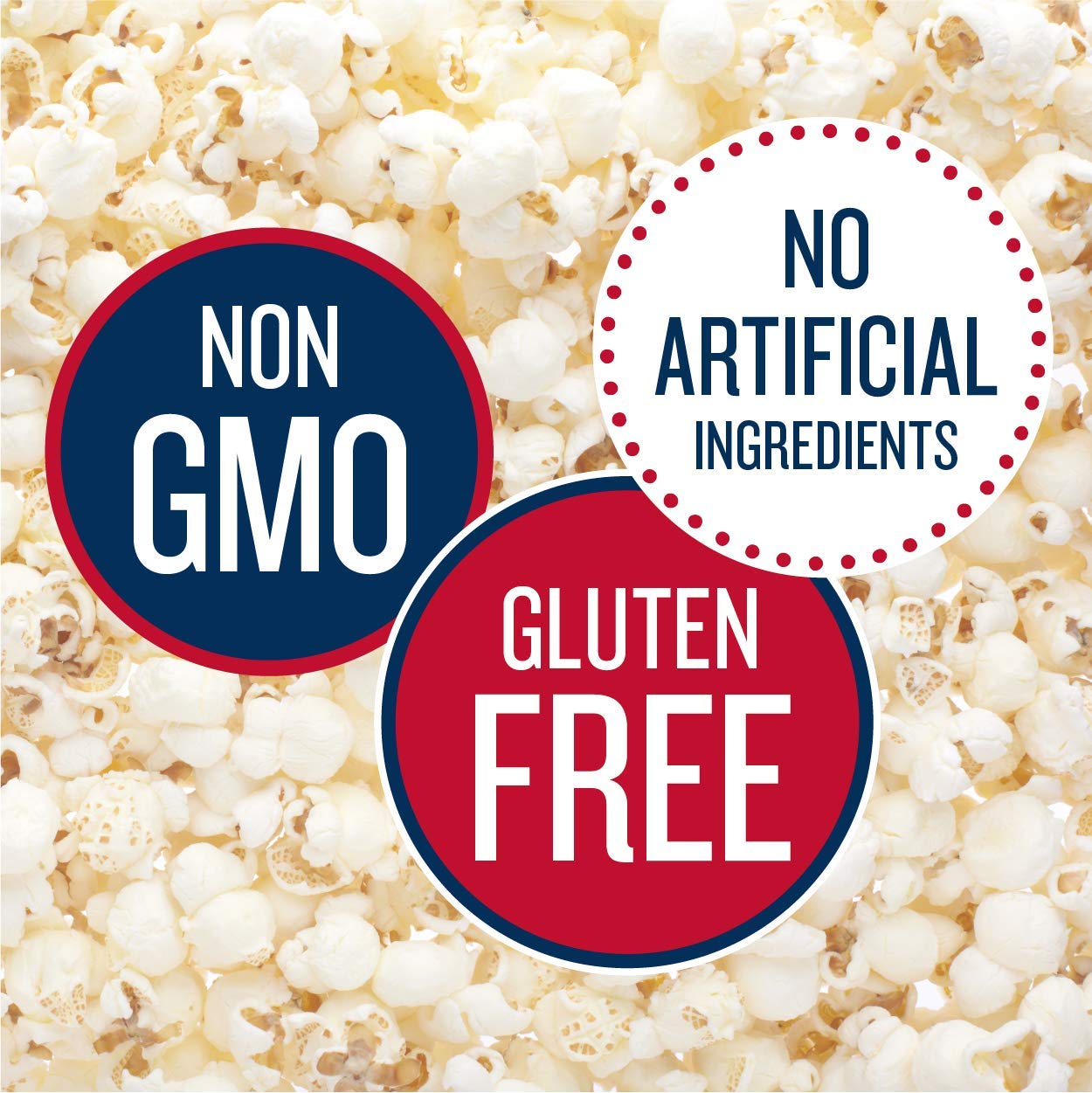 SkinnyPop Popcorn Variety Pack - Original & Dairy Free White Cheddar | Healthy, Gluten Free, Non-GMO Snacks for Movie Nights, Office Snacking & School Lunches