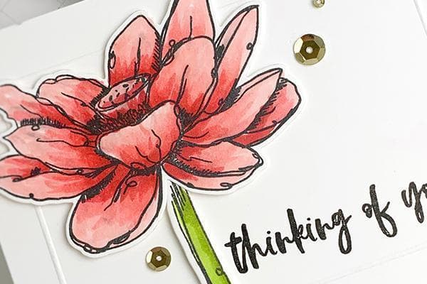 Quick & Simple DIY Greeting Cards - Online Cardmaking Class for Beginners | Perfect for Birthdays, Holidays & Special Occasions