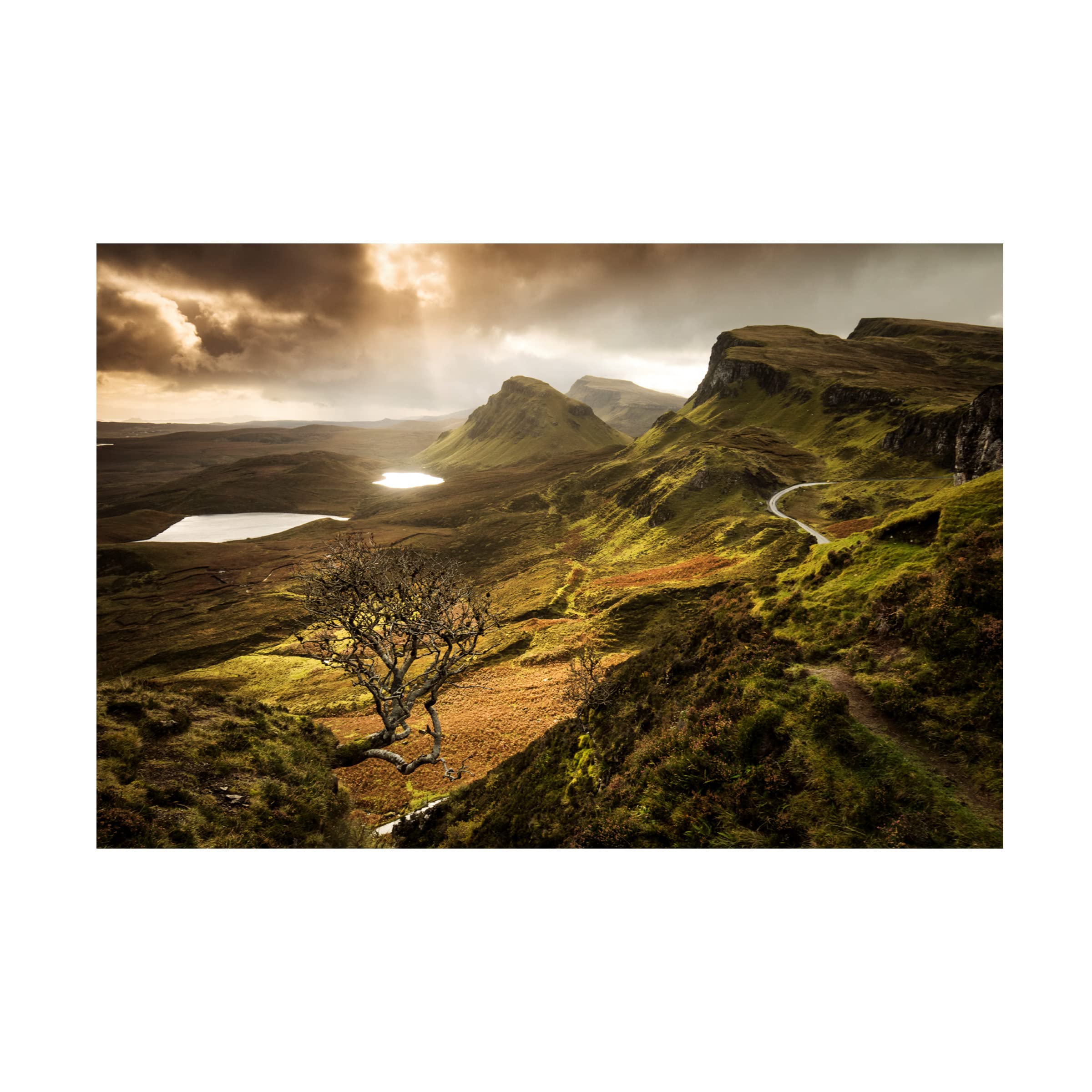 Dan Mirica 'The Tree' Canvas Wall Art Print - Modern Nature Landscape Painting for Living Room, Bedroom & Office Decor