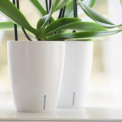 Santino 4.9 Inch Self Watering Orchid Pot in Lavender - Decorative Wicking Planter with Aeration, Drainage & Water Level Indicator - Perfect for Indoor Plants, Home Decor, and Office Spaces