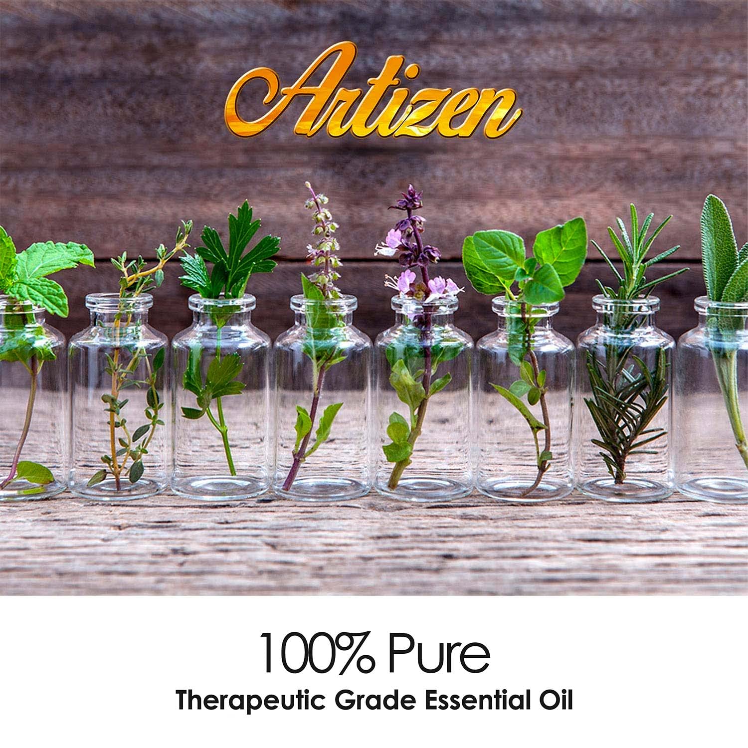 Artizen 30ml Cardamom Essential Oil - 100% Pure Natural Aromatherapy Oil for Diffuser, Massage & DIY Skincare - 1 Fluid Ounce (30ml) Bottle
