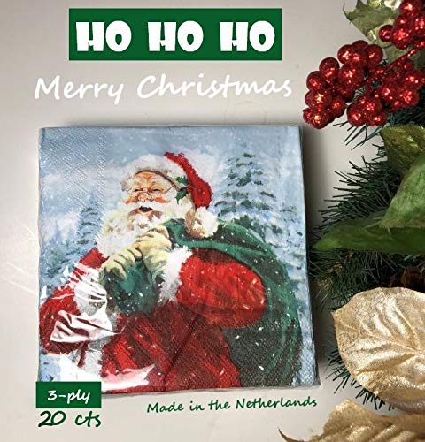 24-Ply Santa Angel Napkins - 13