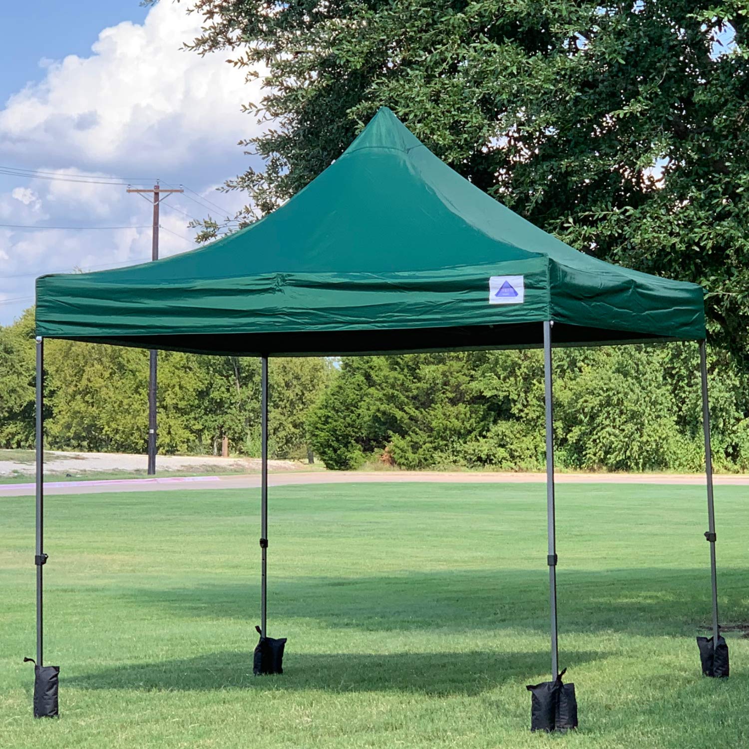 10x10 FT DELTA Pop Up Party Tent - Commercial Instant Canopy for Weddings, Events & Outdoor Gatherings - Includes Wheel Bag & 4 Weight Bags - D Model in Forest Green - Perfect for Backyard Parties, Farmers Markets & Camping