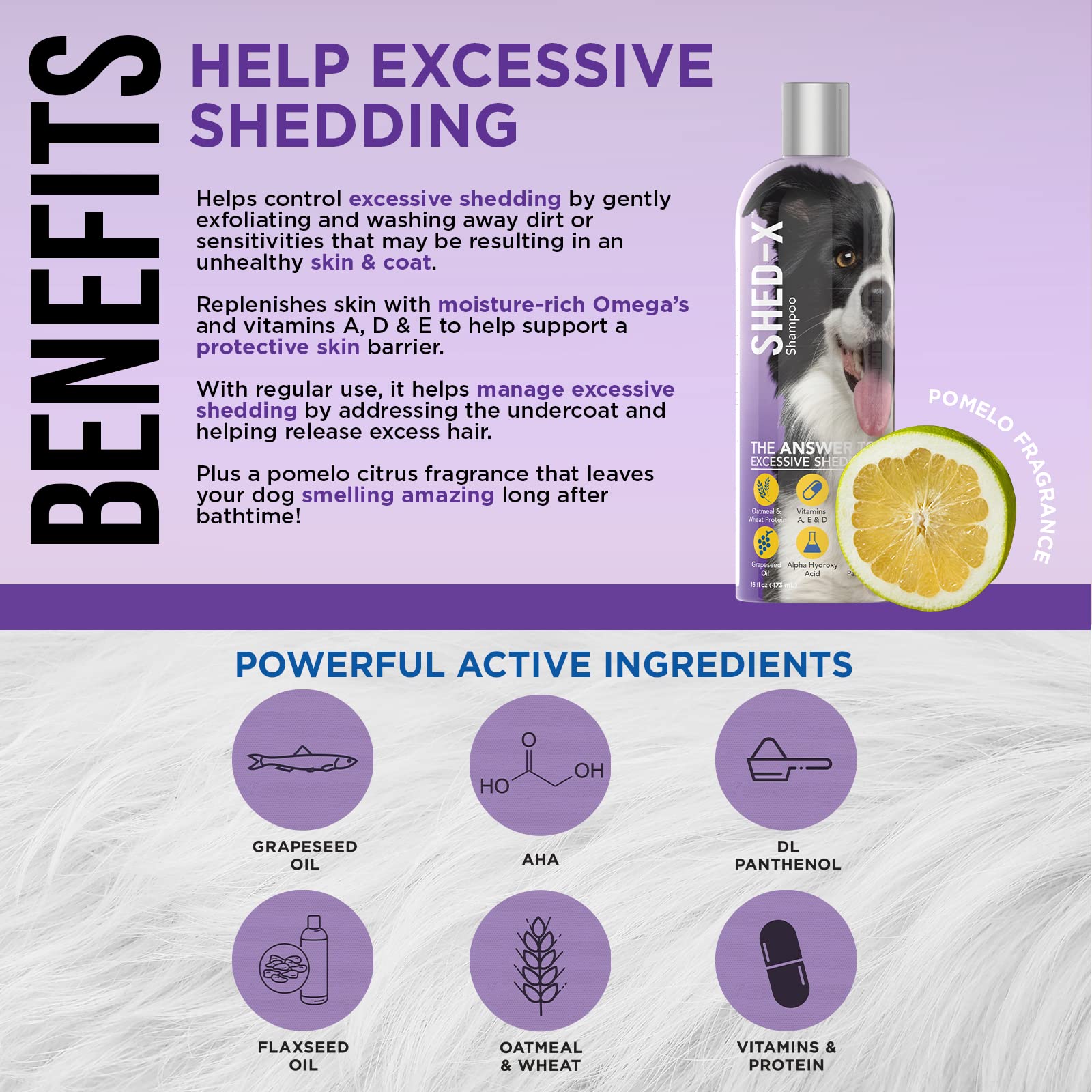 Shed-X Shed Control Shampoo for Dogs - 16 oz Anti-Shedding Dog Shampoo with Vitamins & Antioxidants | Reduces Excessive Shedding, Cleans & Nourishes Skin & Coat | Ideal for Grooming, Bath Time & Seasonal Shedding Control