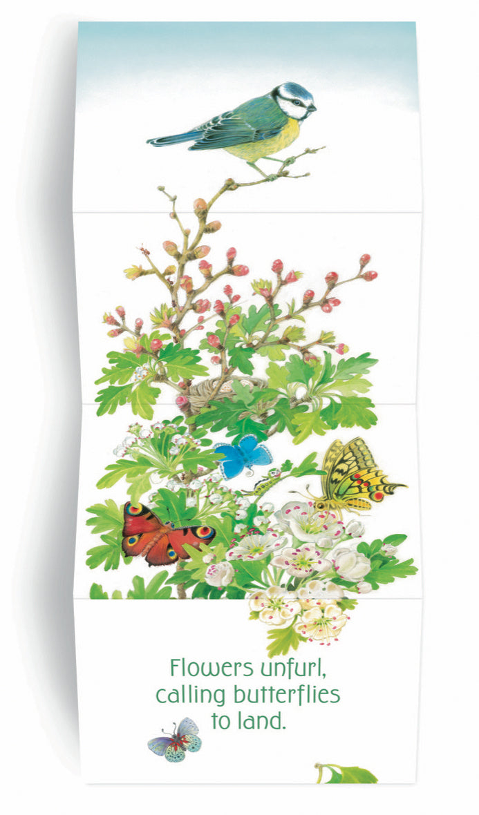 Gardening Book: In the Garden - 9781568463353 - Perfect for Home Gardeners and Outdoor Enthusiasts