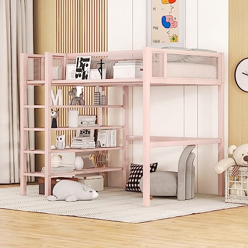 Pink With Shelves