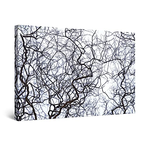 Black White Branches
