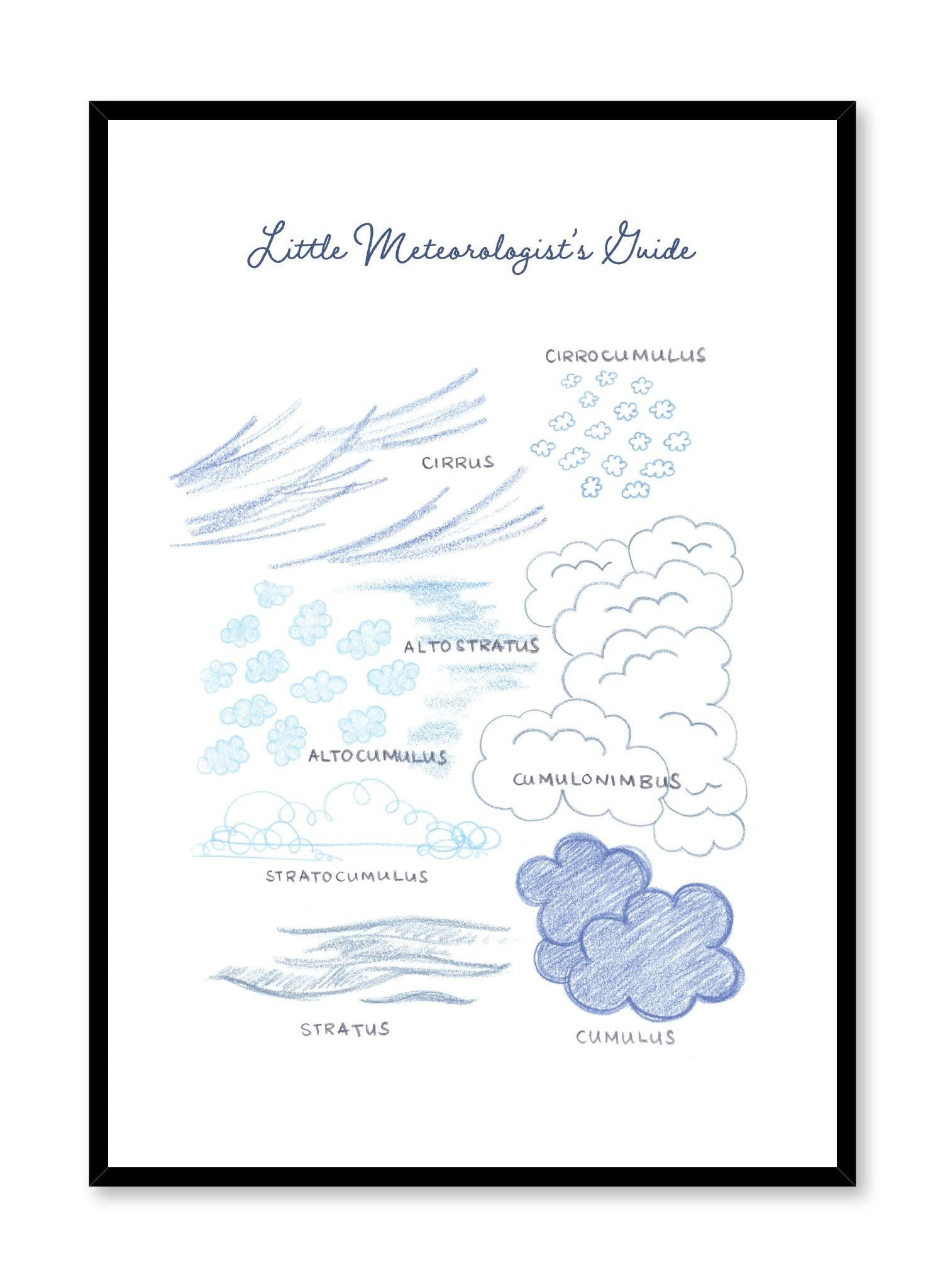 Little Meteorologist’s Guide - Educational Weather Poster for Kids | Perfect for Classroom Learning & Home Schooling