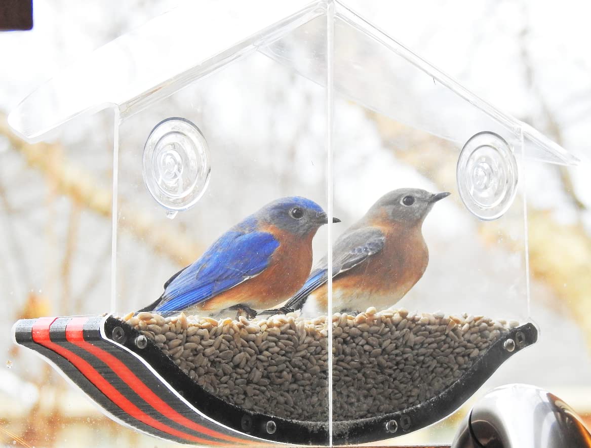 JC's Wildlife Swoop Recycled Poly Lumber Window Bird Feeder - 2 Cups Capacity, Durable Eco-Friendly Red Bird Feeder for Cardinals, Finches & Wild Birds - Perfect for Home, Garden & Backyard Bird Watching