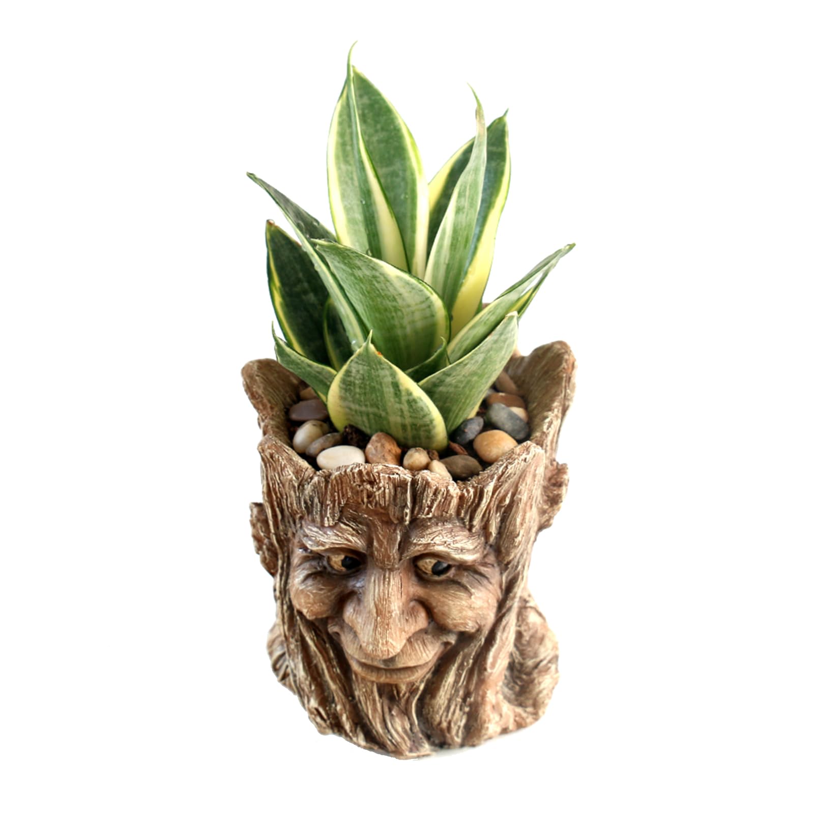 Funny Smiling Face Resin Planter Pot with Drainage Hole - Succulent Plant Holder, Pencil Cup & Desk Organizer for Office, Home Decor & Garden Gifts - Perfect for Indoor Plants, Workspace Organization & Unique Gift Giving