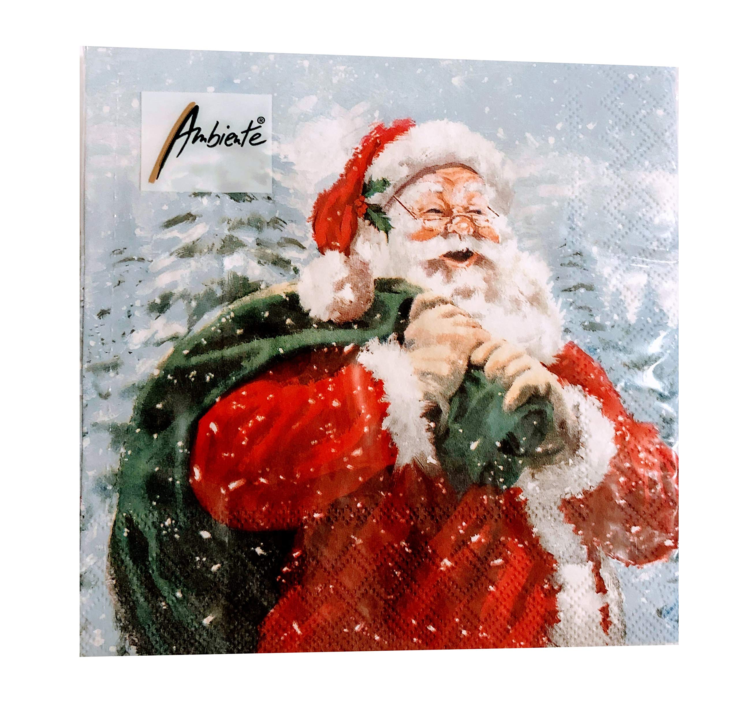 24-Ply Santa Angel Napkins - 13