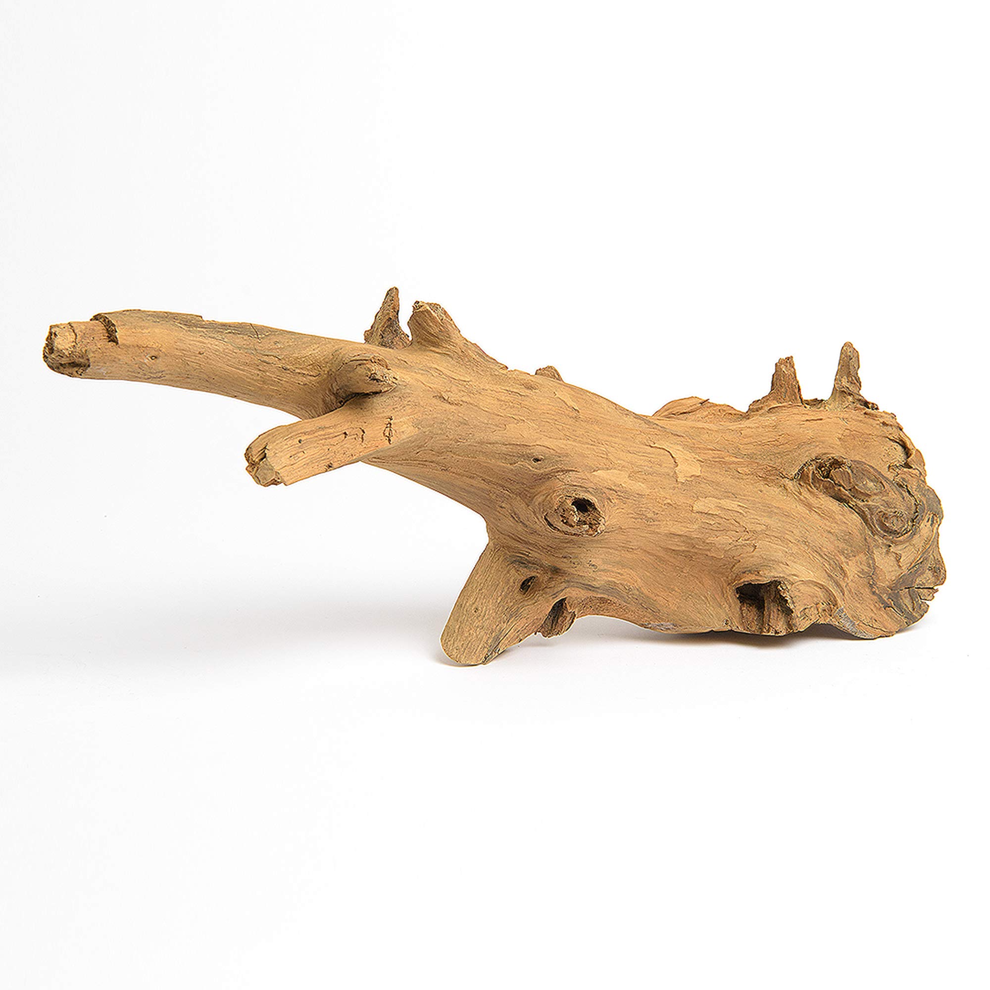 Premium Teak Root Sculpture for Home Decor - Natural Bleached Finish | Perfect for Living Room, Office & Zen Spaces