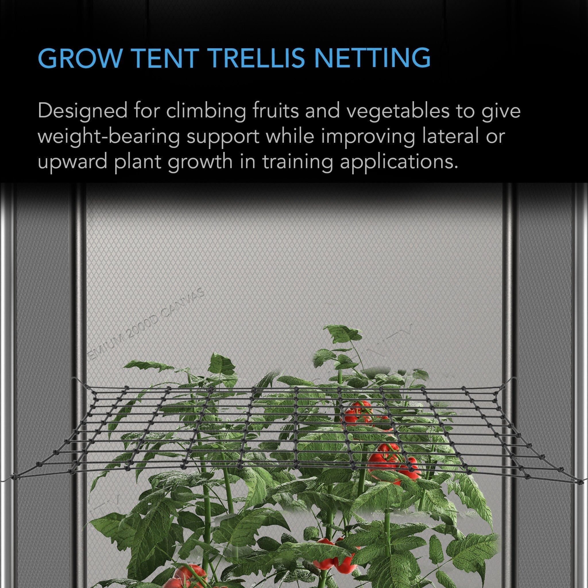5x5 Feet Grow Tent Trellis Netting with Flexible Elastic Cords - Perfect for Indoor Plant Support & Hydroponic Gardening
