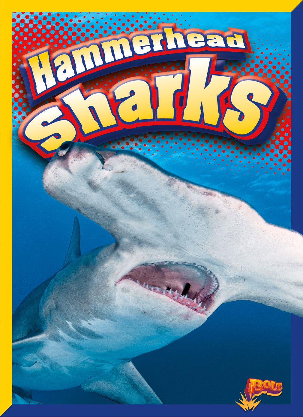 Hammerhead Sharks - Unique Marine Predators for Aquariums & Ocean Conservation | Perfect for Educational Displays & Shark Enthusiasts
