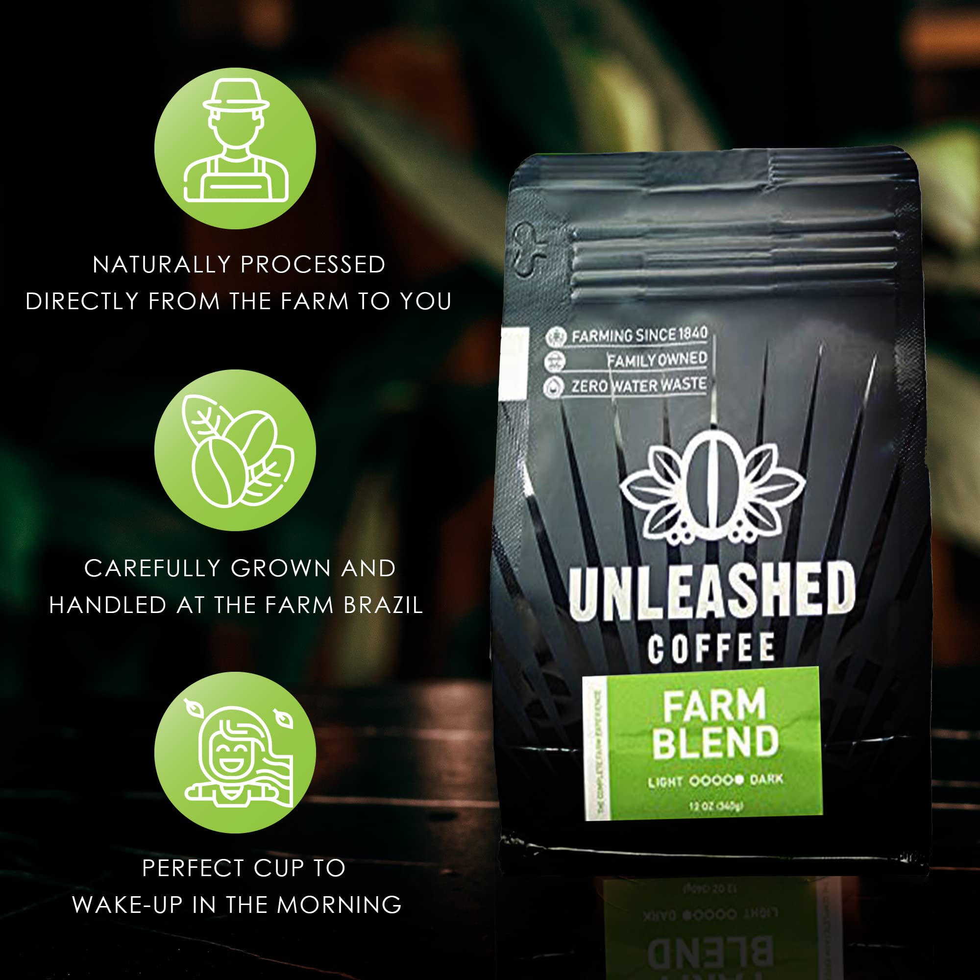 Premium Dark Roast Whole Bean Coffee | 100% Arabica Brazilian Coffee Beans | Direct Trade Farm Fresh Gourmet Coffee | 12 oz Bag | Perfect for Home Brewing, Office & Gifting