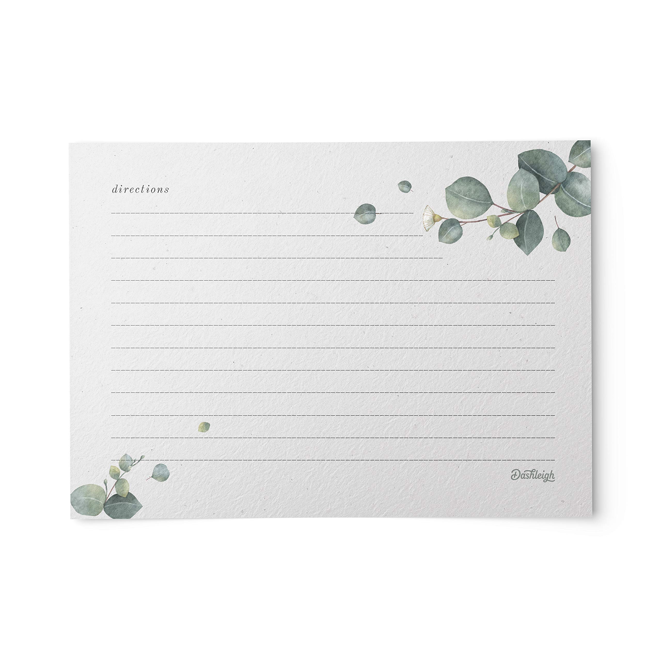 Dashleigh Eucalyptus Recipe Cards Set - 48 Double-Sided Water-Resistant 4x6 Inch Cards in Vintage Sage Green & Grey | Perfect for Kitchen Organization, Meal Planning & Gift Giving