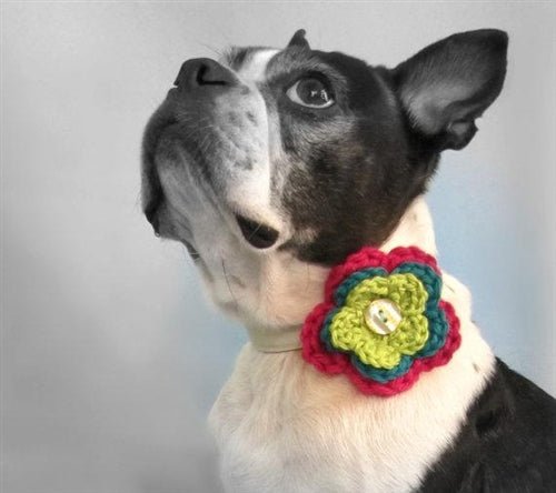 Handmade Crochet Dog Collar Flower - Multi-Layer Pet Accessory in Various Colors for Small & Medium Dogs - Perfect for Pet Weddings, Photo Shoots & Daily Walks