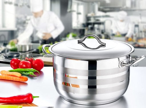 14L Stainless Steel Pot with Lid - 12x8 Inches - Perfect for Cooking, Boiling & Food Storage in Kitchens & Camping