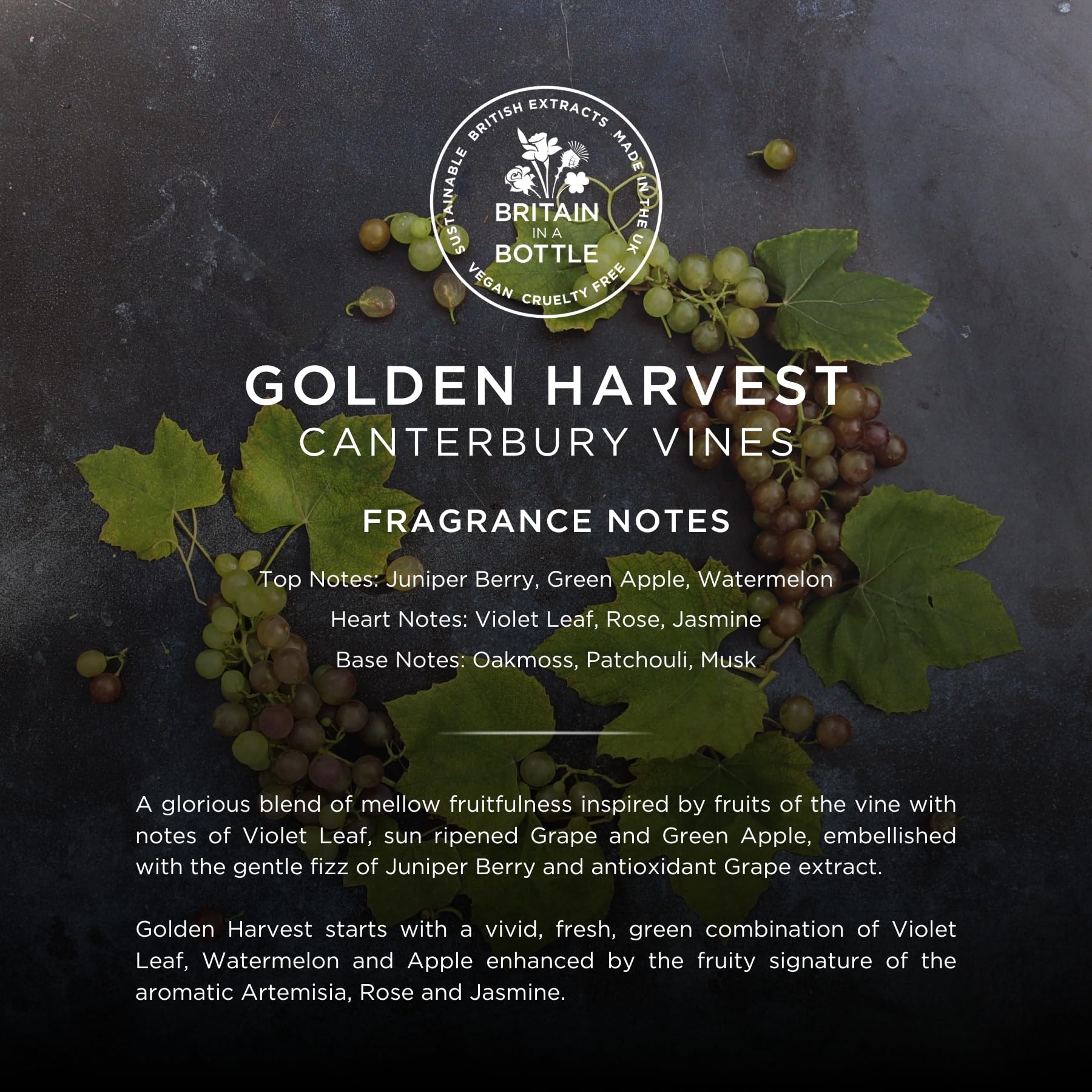 Golden Harvest Hydrating Body Lotion 250ml - Deep Moisturizer for Dry Skin, Natural Ingredients, Fast Absorption - Perfect for Daily Skincare & Post-Shower Hydration
