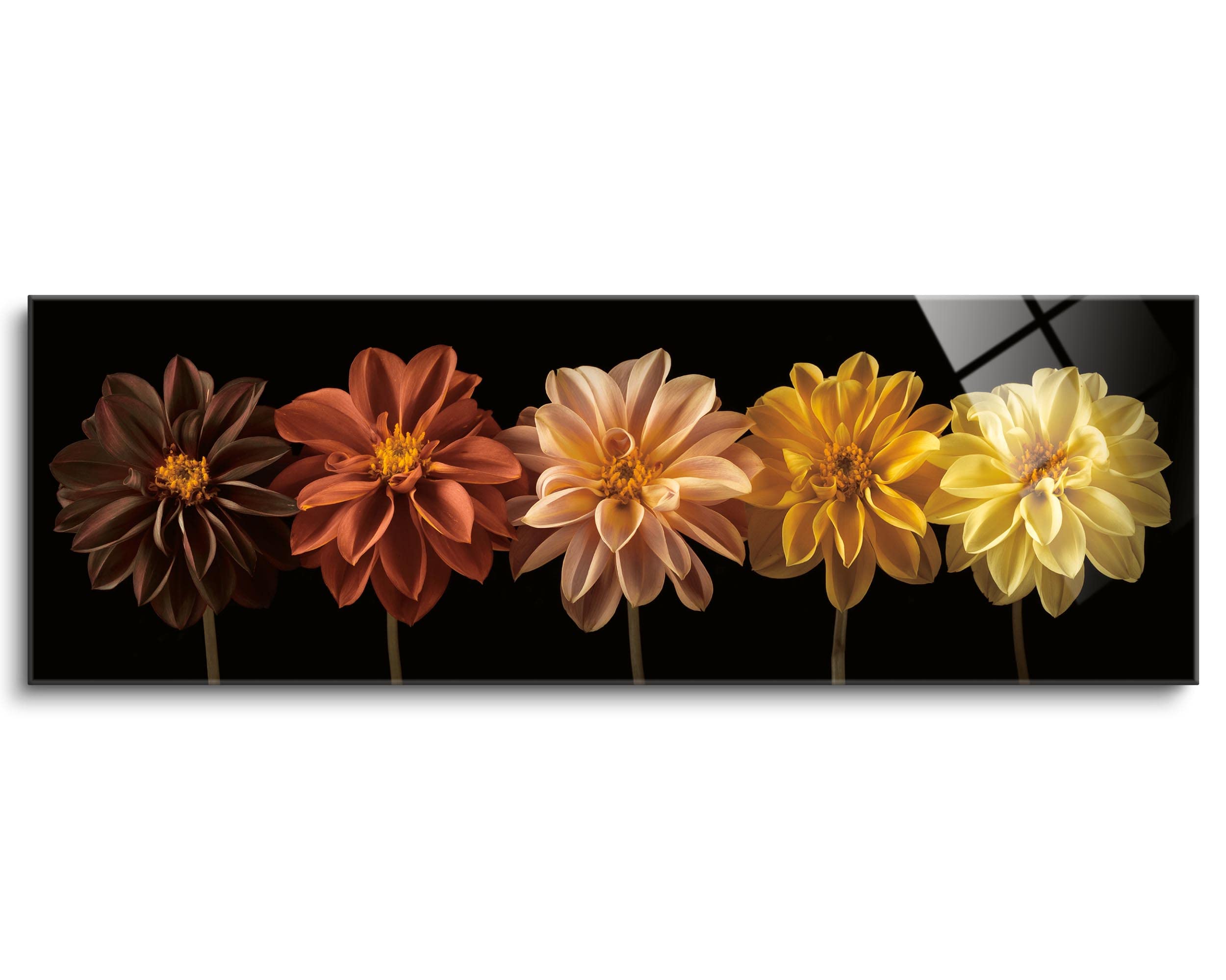 SOULFINE Frameless Tempered Glass Wall Art - 36