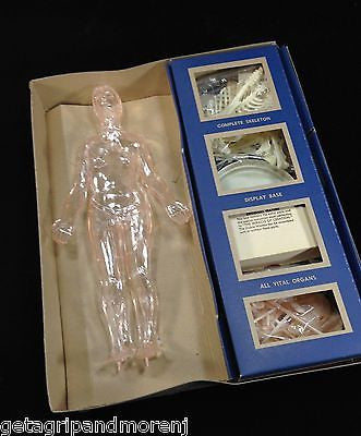 Vintage 1960s Renwal Visible Woman Anatomy Model with Miracle of Creation - Original Box Included | Educational Science Toy for Kids & Collectors | Perfect for Classroom Learning & Medical History Display