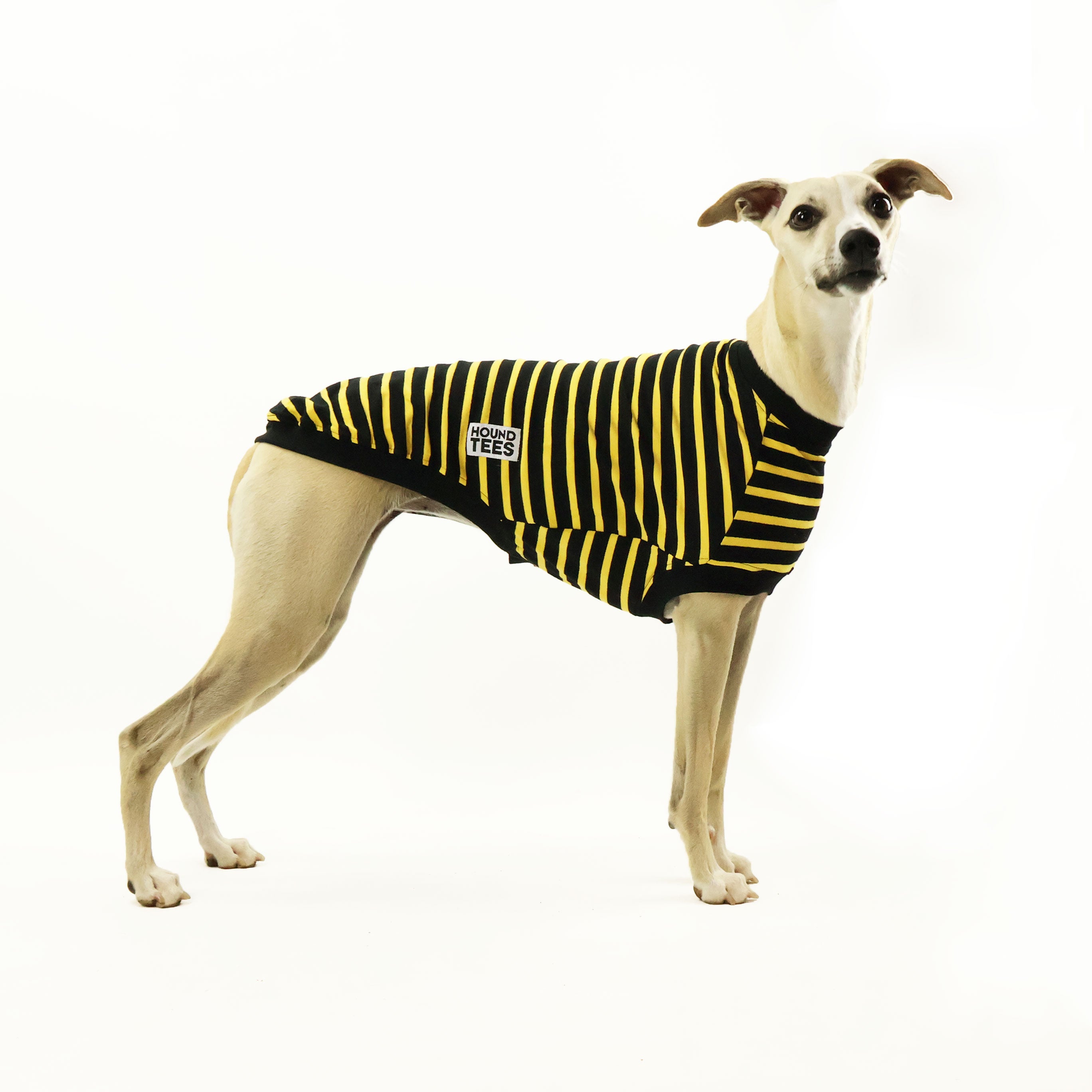 Bumble Whippet Sleeveless Hound Graphic T-Shirt for Men & Women - Trendy Dog Lover Apparel for Casual Wear, Outdoor Activities & Pet Owner Fashion