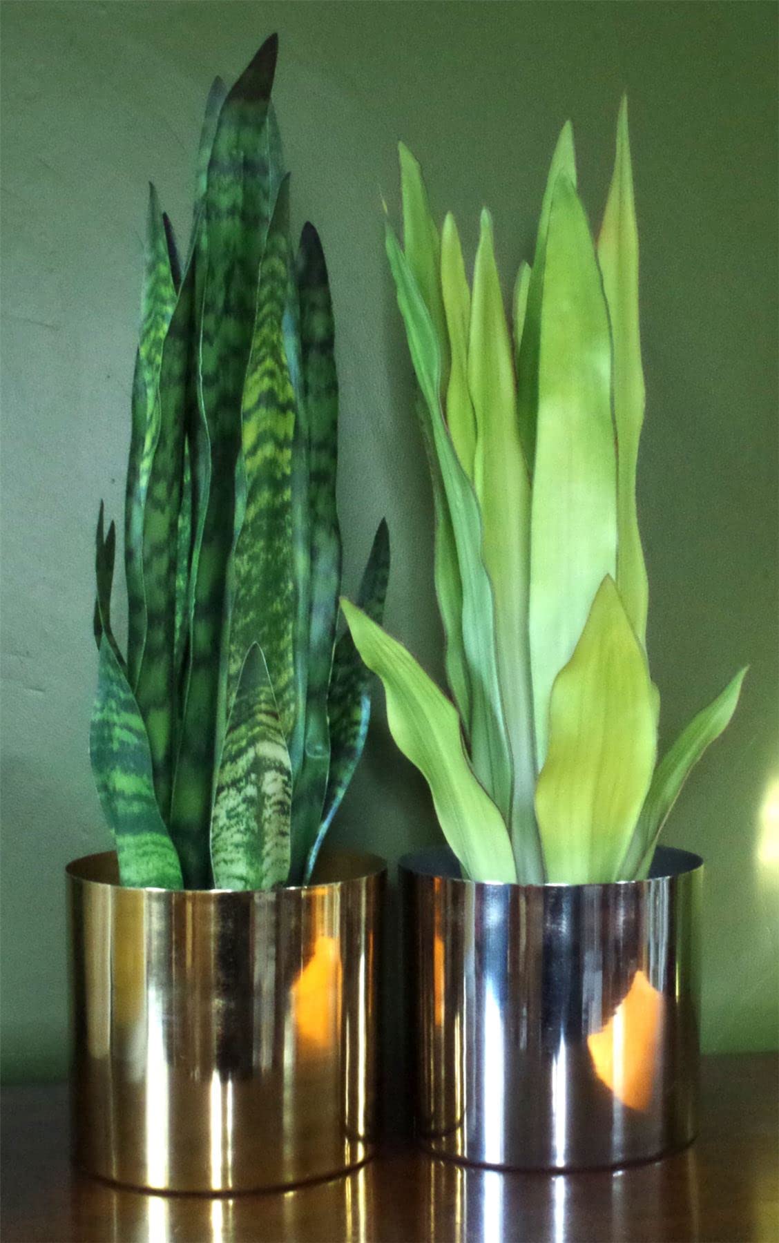 Brushed Silver Metal Planter - 8 x 7 Inch Modern Indoor/Outdoor Flower Pot for Home Decor, Office Plants & Garden Succulents