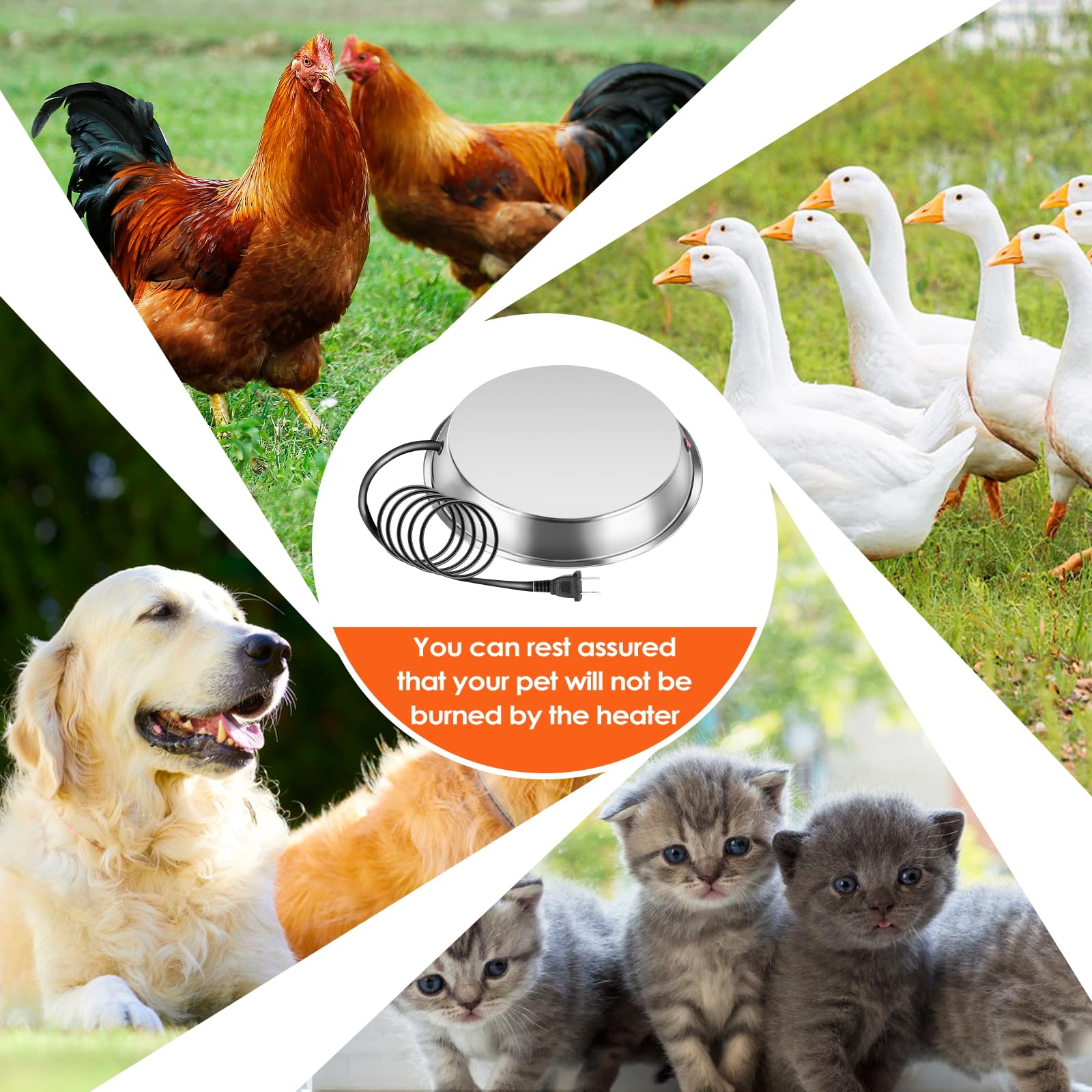 Heated Chicken Waterer for Winter - Automatic Poultry Water Heater Base with Rapid & Continuous Heating - Keep Chickens Hydrated in Cold Weather - Ideal for Coops, Farms, and Backyard Flocks