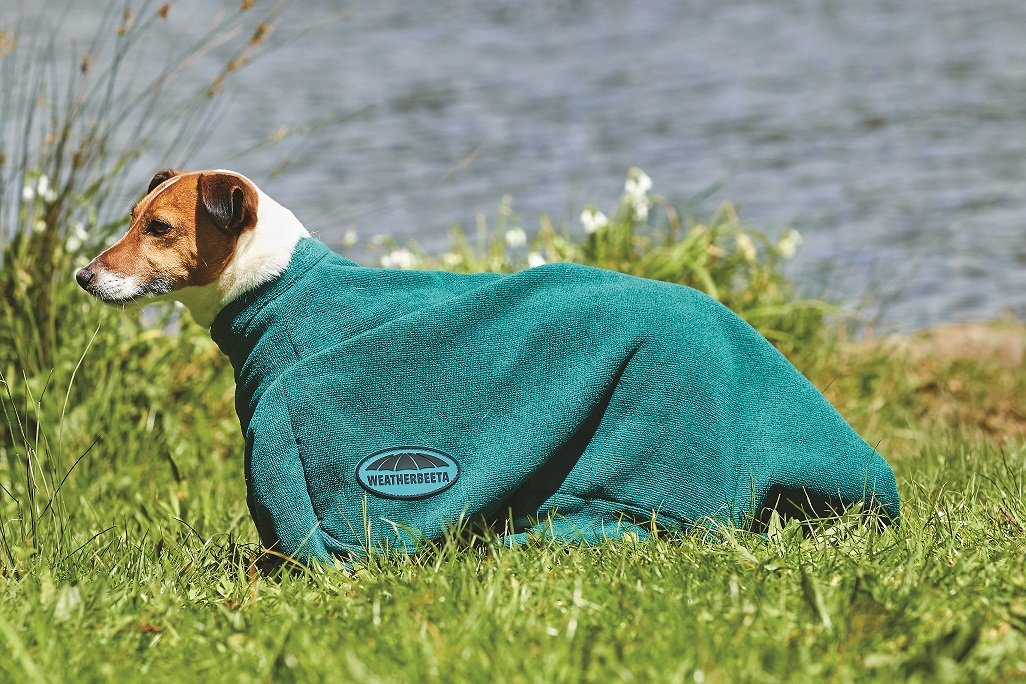 Weatherbeeta Waterproof Dog Dry Bag - Keep Your Pet Dry & Comfortable for Hiking, Camping & Outdoor Adventures