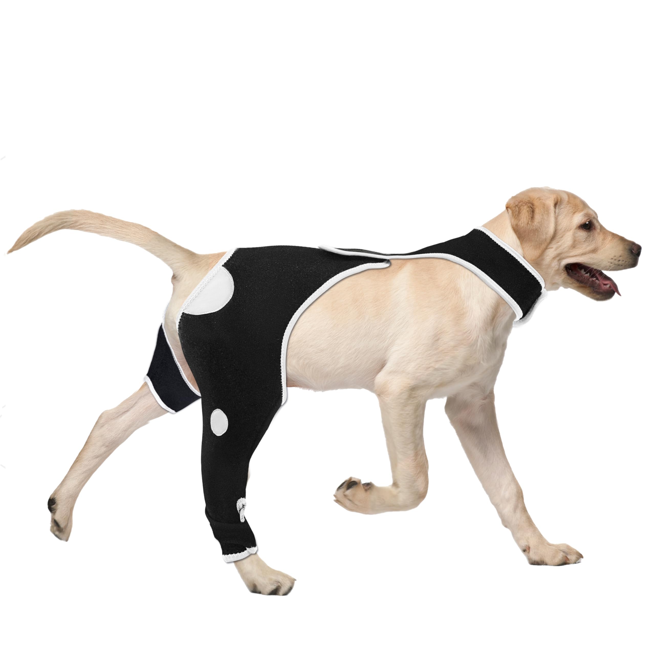 Rear Right Leg Dog Surgery Recovery Suit - Abrasion Resistant & Waterproof Pet Sleeve to Prevent Licking - Reflective Dog Pants Alternative to Cone Collar for Male & Female Dogs (XS) - Ideal for Post-Surgery Care, Wound Protection, and Comfortable Healing