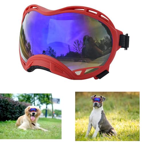 Red Frame & Bule Lens/Large