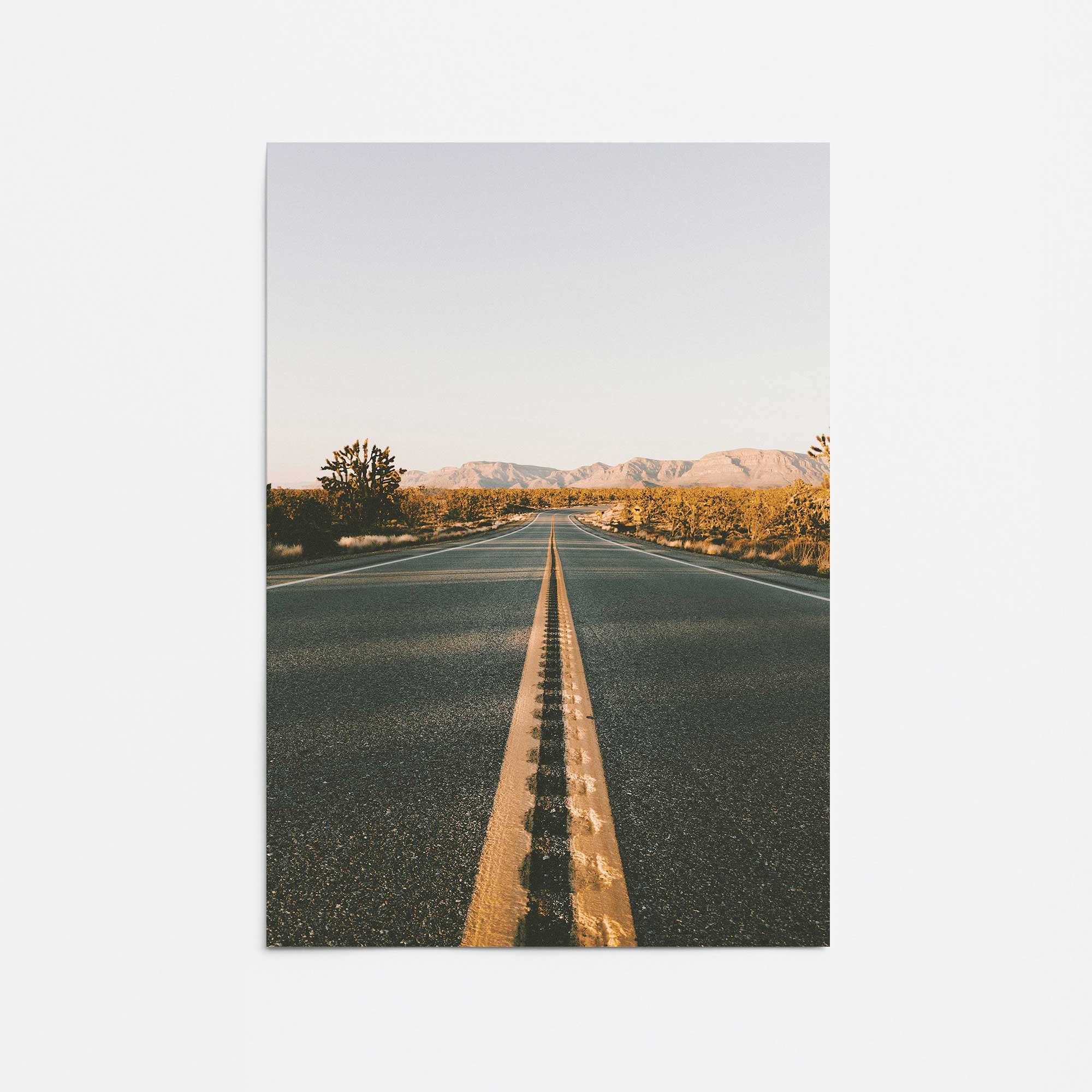 Desert Pathways Promotional Rolled Print - Custom Printed Fabric Banners for Outdoor Events, Trade Shows & Desert-Themed Decor | Perfect for Branding, Weddings & Home Decoration