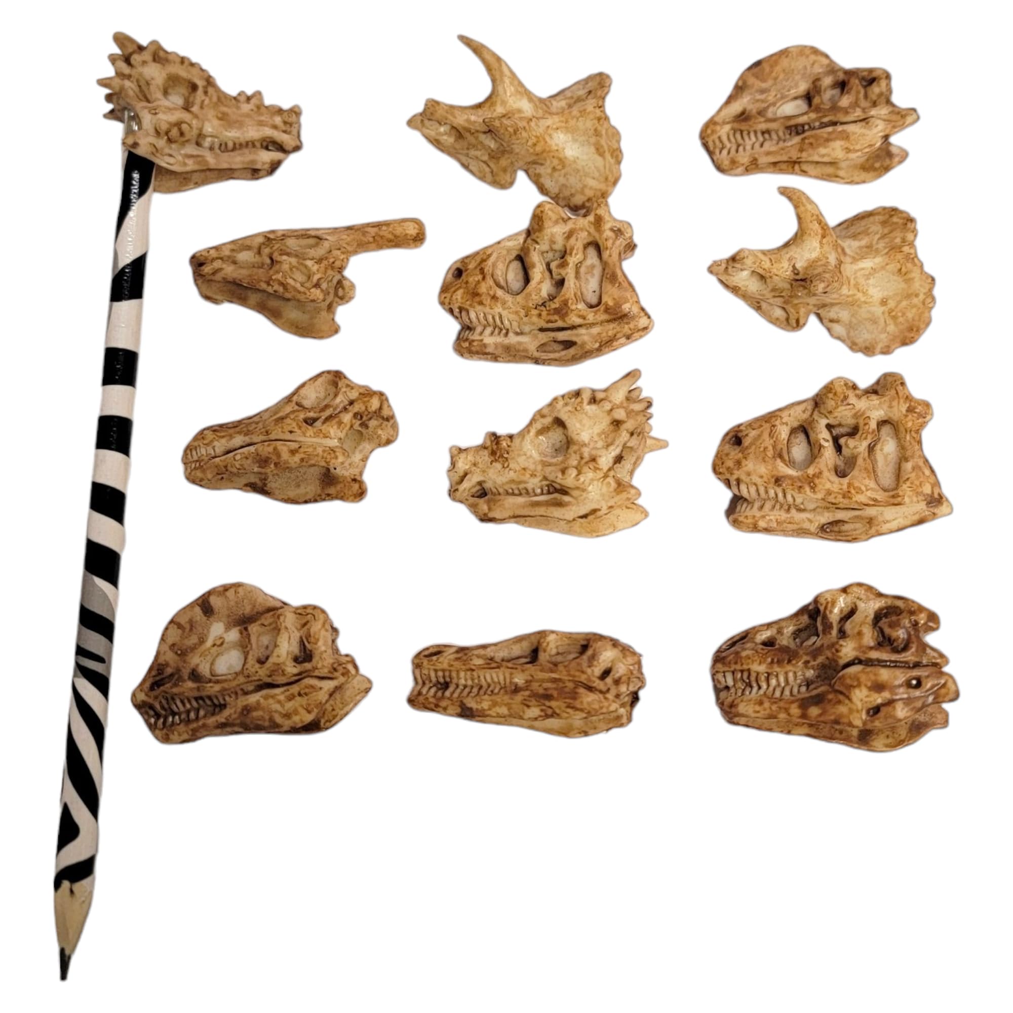 Dinosaur Fossil Pencil Toppers - 12 Pack (2 Inch) Rubber Dino Pencil Caps for Kids | Ancient Aged Look Classroom Supplies, Party Favors & Student Incentives | Perfect for Back to School, Birthday Parties & Educational Rewards