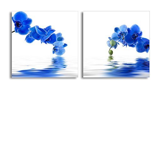 Blue Orchid Flower