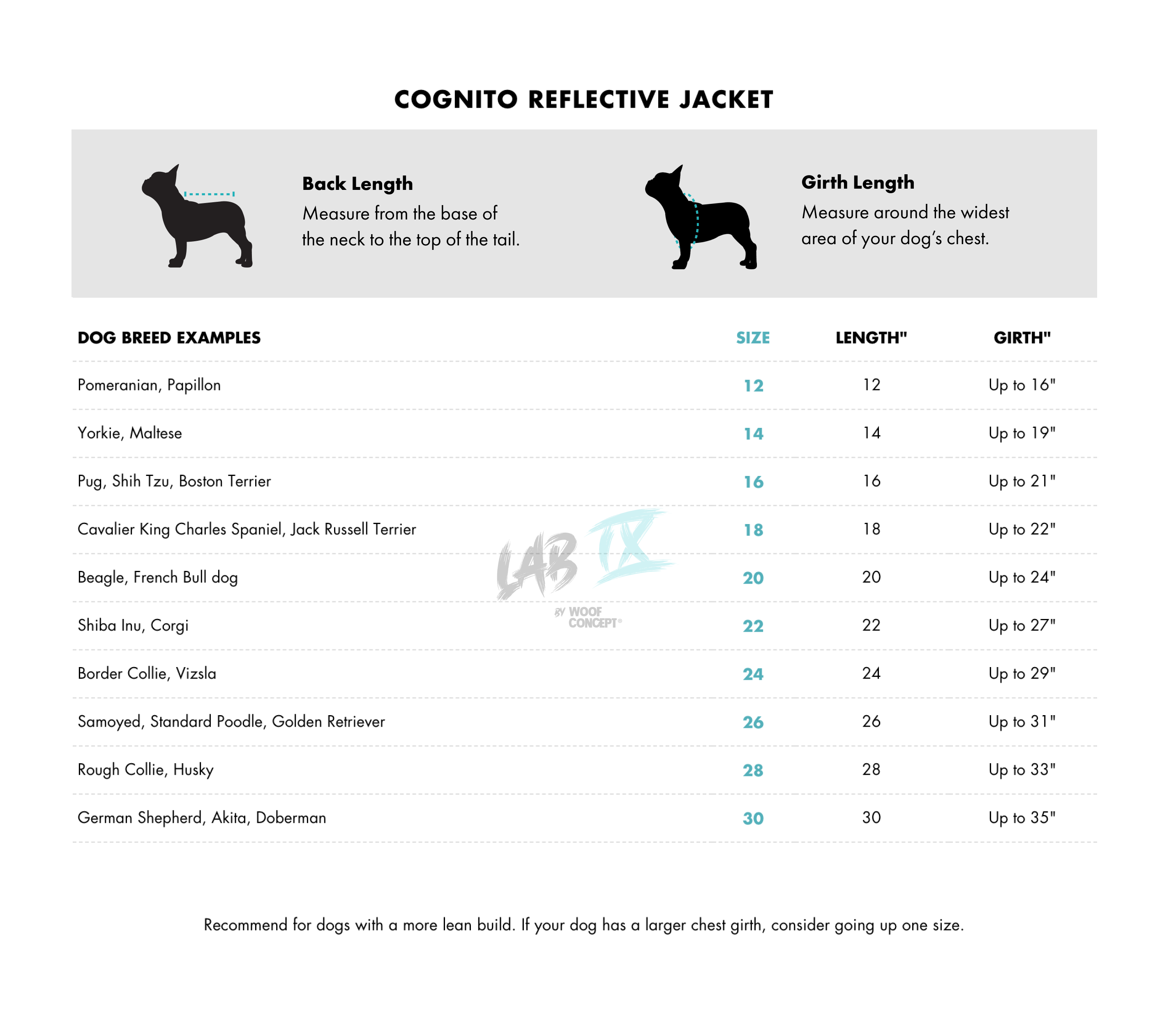 Cognito Reflective Jacket - High Visibility Waterproof Windbreaker for Running, Cycling & Outdoor Safety
