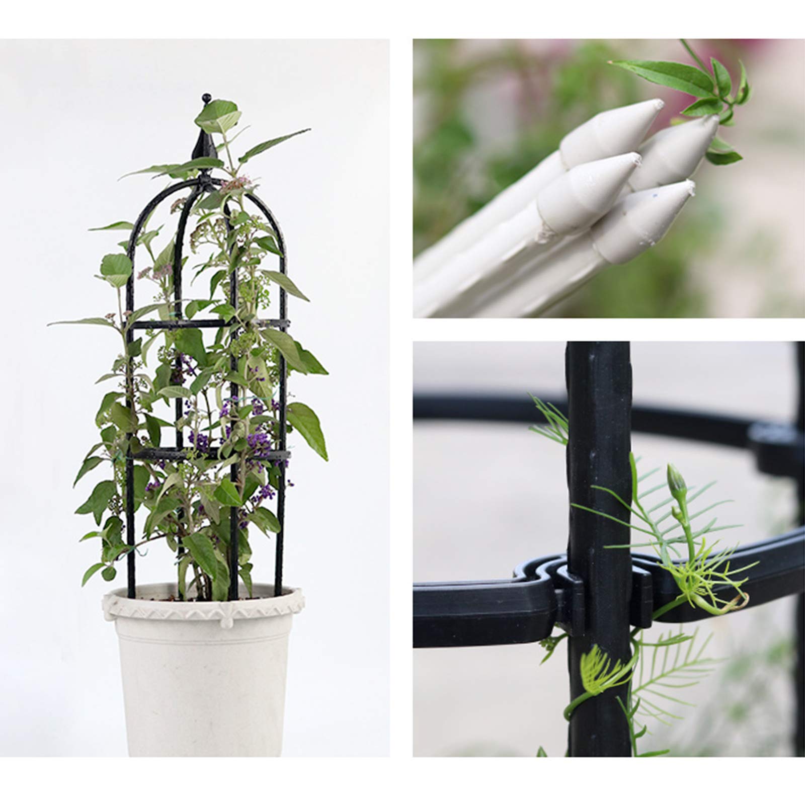 24 Inch Stainless Steel Garden Obelisk Trellis - Plant Support for Pots, Climbing Roses & Vines | Durable Outdoor Plant Cage & Protector Ring for Gardens, Patios & Balconies