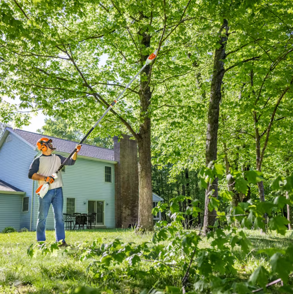 STIHL HTA 86 Cordless Pole Pruner - 20V Battery Powered Tree Trimmer with Extendable Pole for Easy Branch Cutting | Perfect for Garden Maintenance, Landscaping & Tree Care