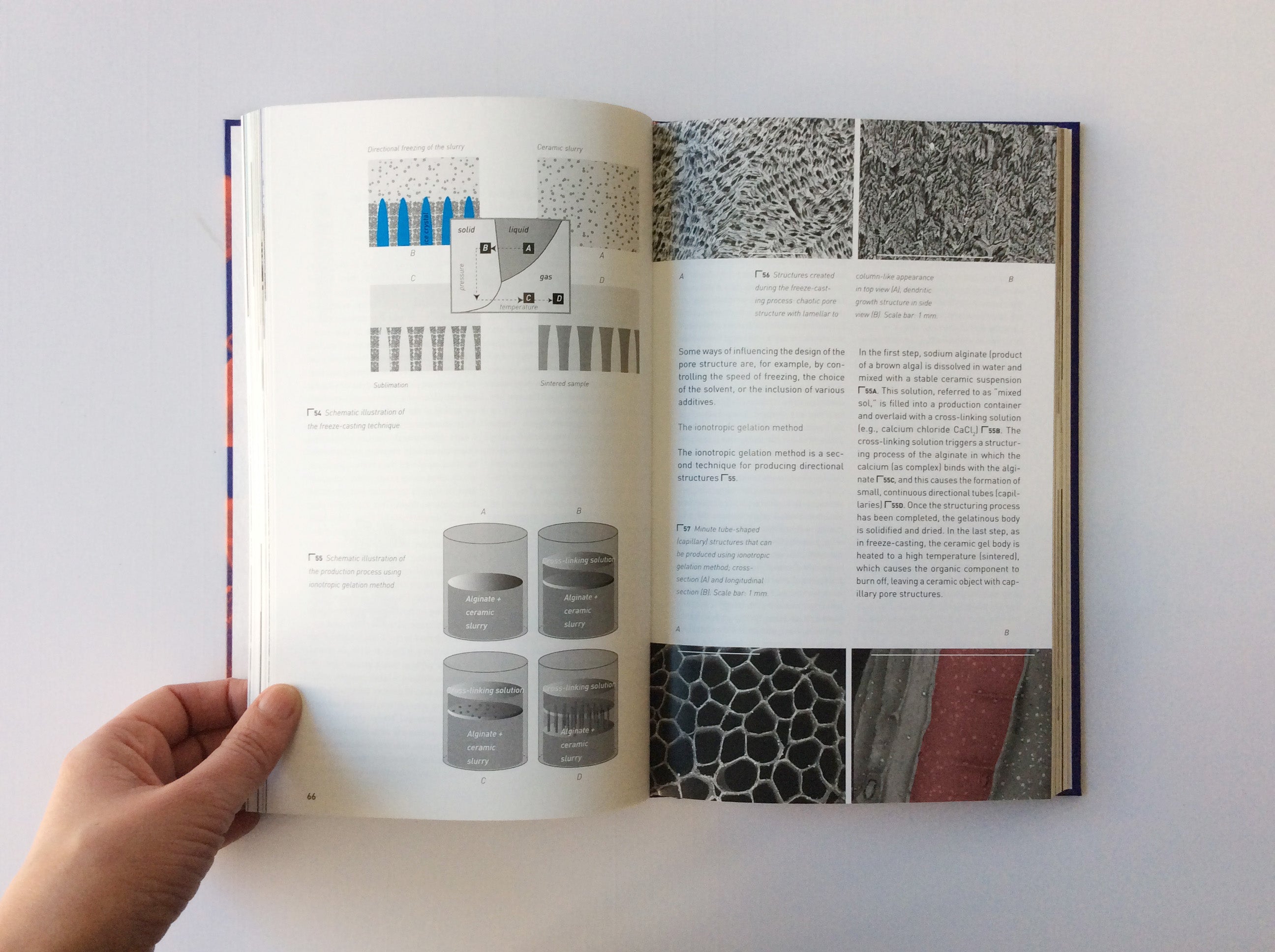 Biomimetic Design for Sustainable Architecture - Nature-Inspired Building Solutions for Eco-Friendly Homes & Offices