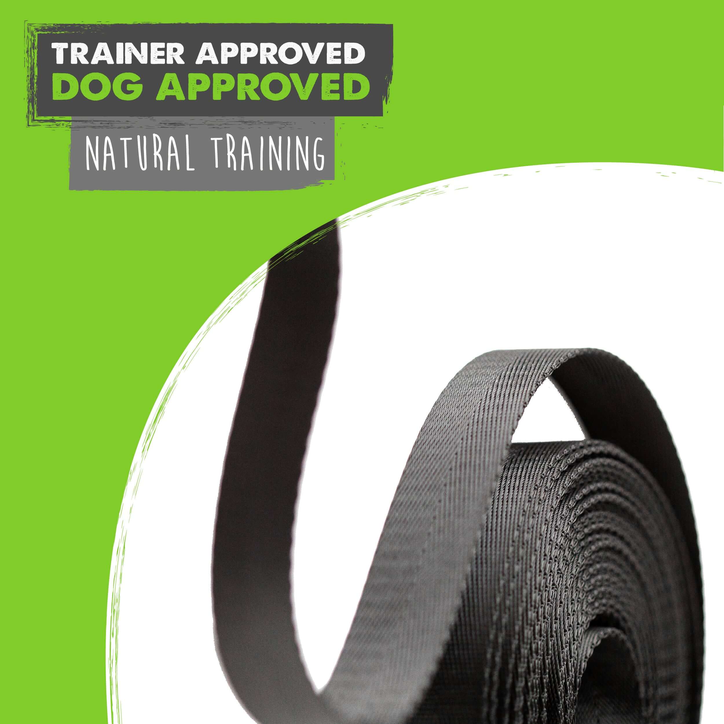 Durable 10ft Long Dog Leash for Large Dogs - Heavy Duty Retractable Walking Lead with Comfortable Handle for Training, Running & Outdoor Adventures
